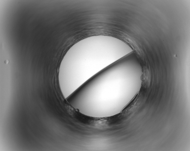 X0000096950333200802221327