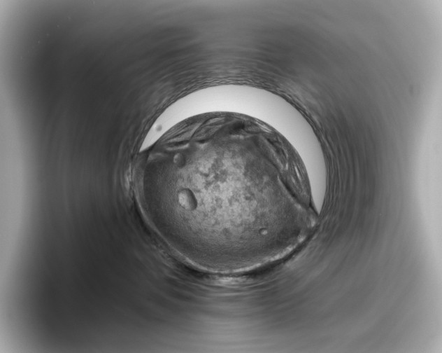 X0000096950336200802221327