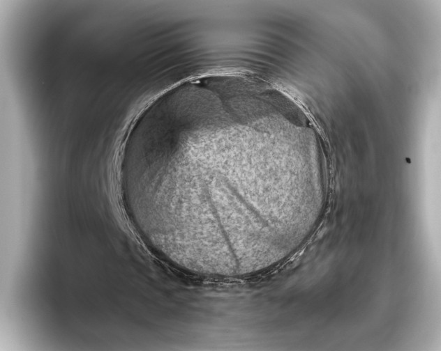 X0000096950337200802221326