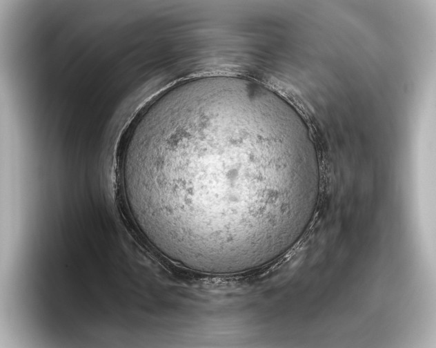 X0000096950338200802221326
