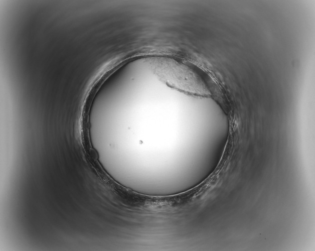 X0000096950340200802221326