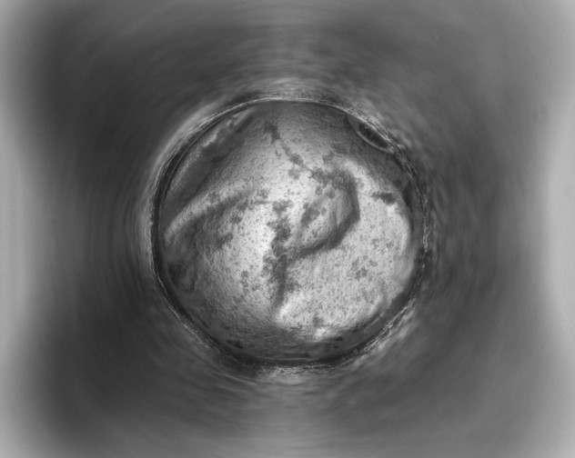 X0000096950341200802221326