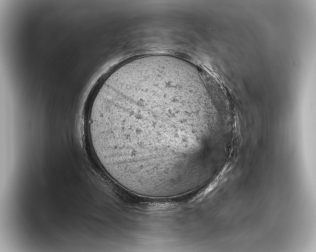 X0000096950342200802221326
