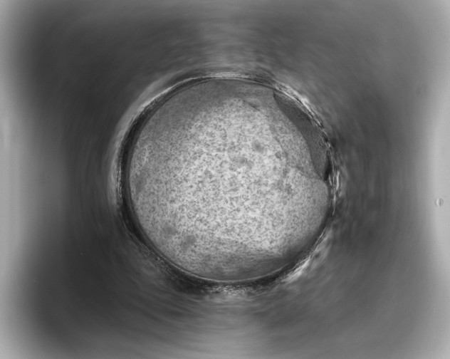 X0000096950343200802221326