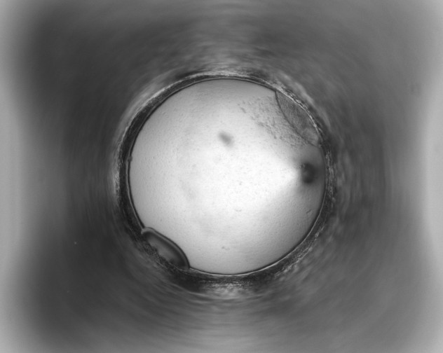 X0000096950344200802221326