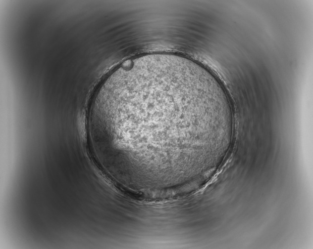 X0000096950345200802221326