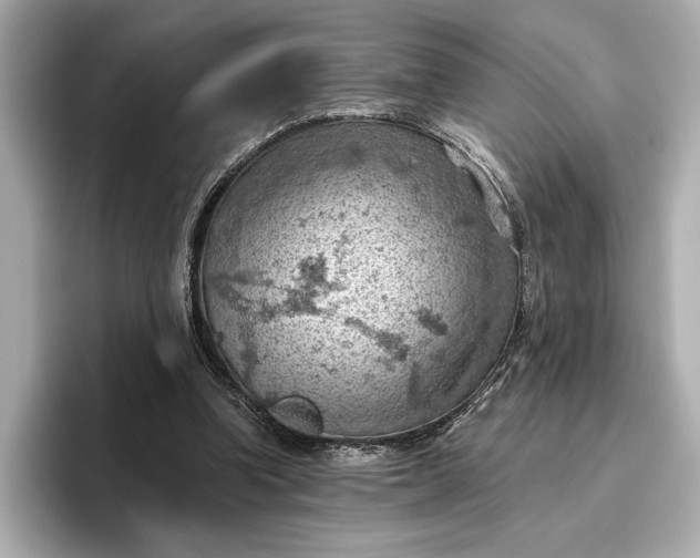 X0000096950346200802221326