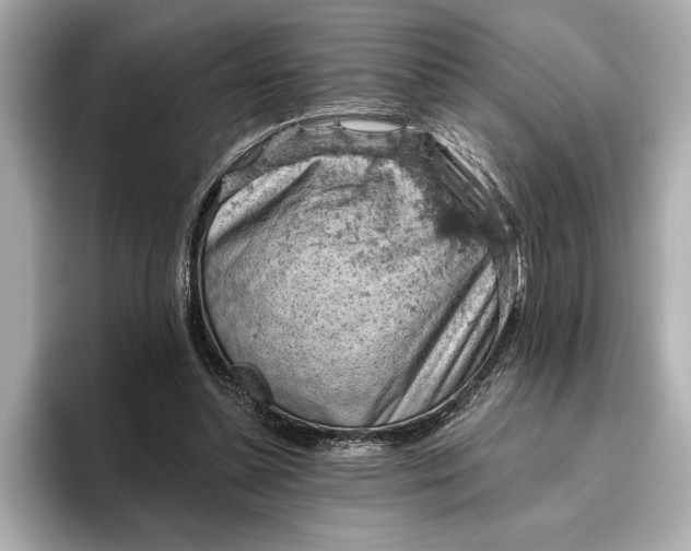X0000096950348200802221326