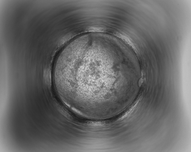 X0000096950349200802221326