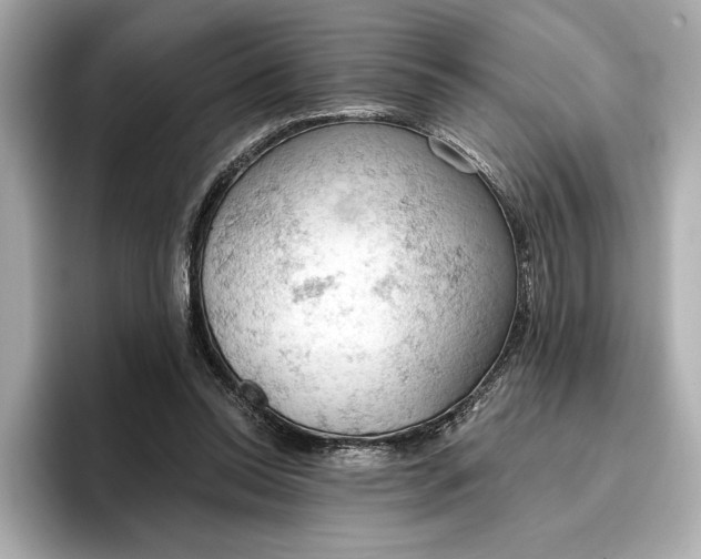 X0000096950350200802221326