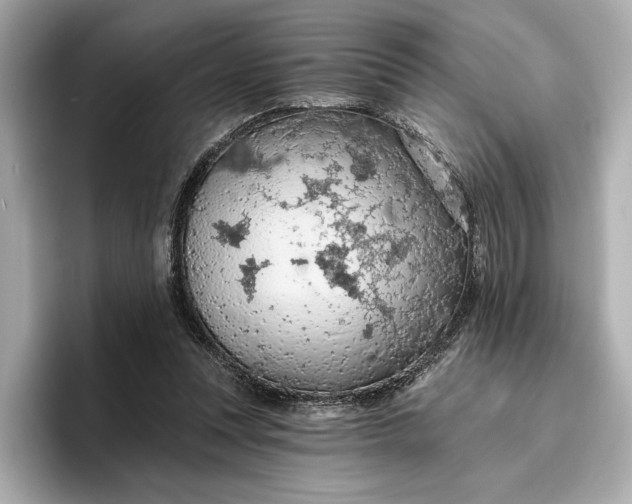 X0000096950351200802221327