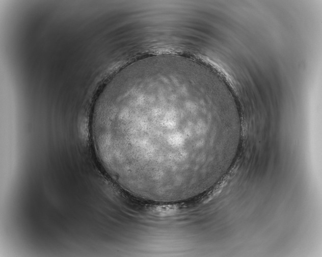 X0000096950353200802221327