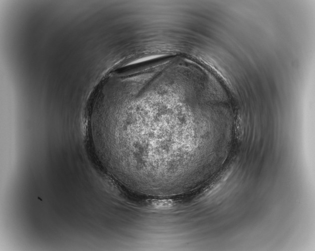 X0000096950355200802221327