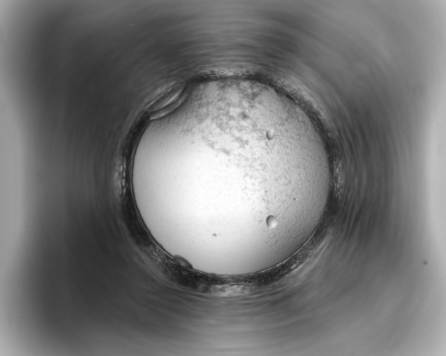 X0000096950356200802221327