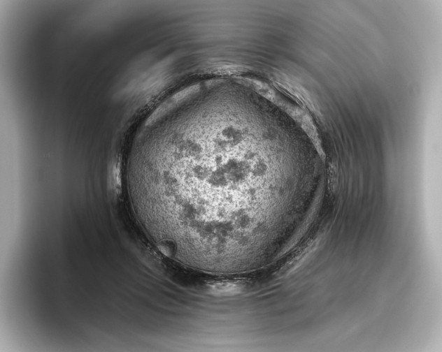 X0000096950358200802221327