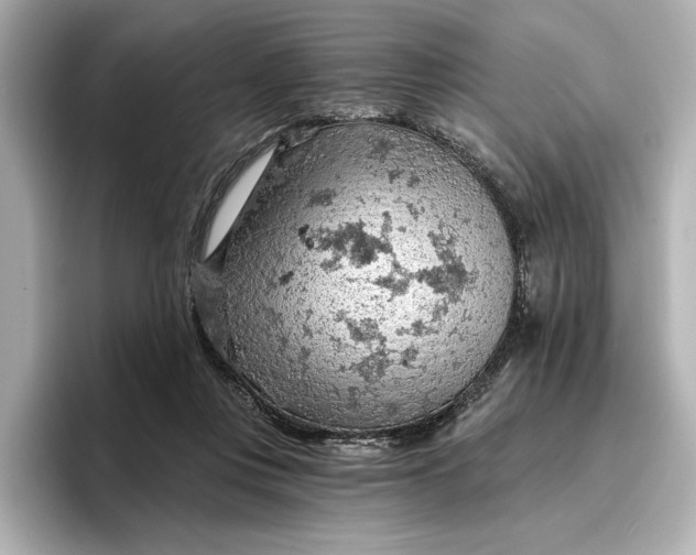 X0000096950359200802221327