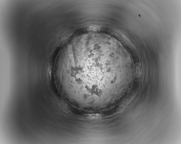 X0000096950363200802221327