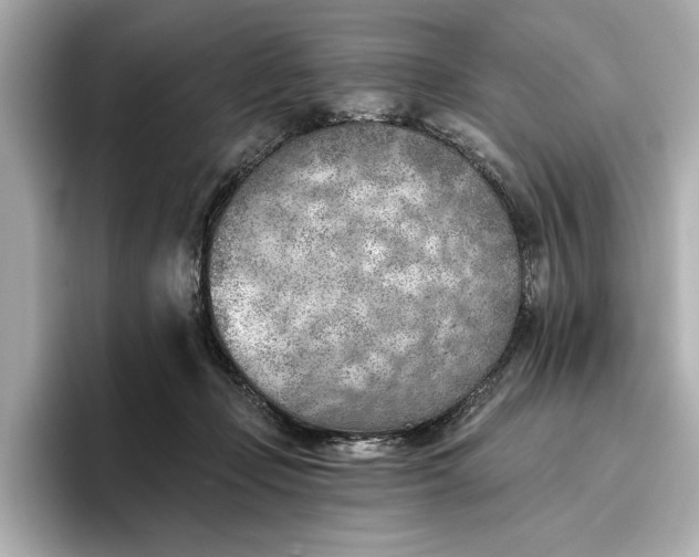X0000096950365200802221327