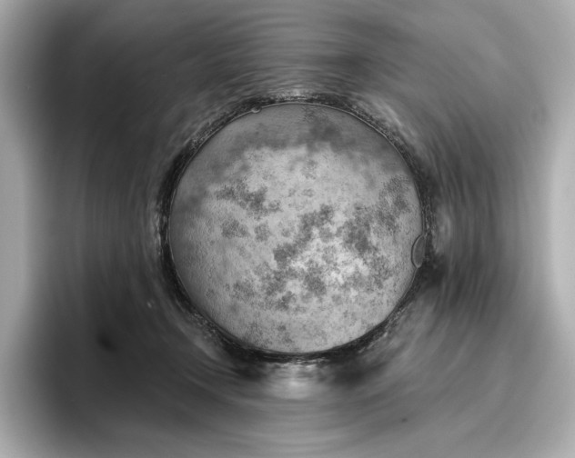 X0000096950366200802221327