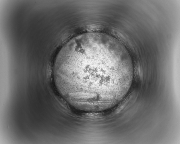 X0000096950367200802221327