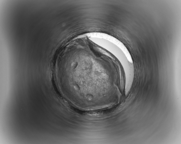 X0000096950370200802221327