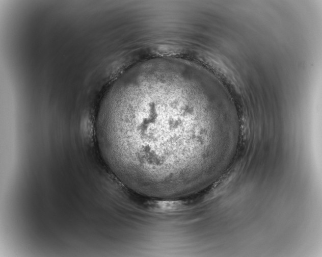 X0000096950371200802221327