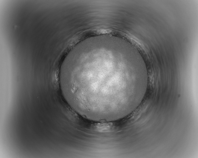 X0000096950373200802221327