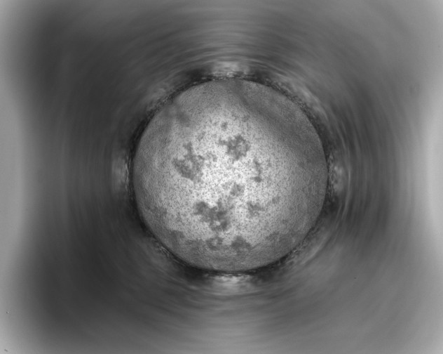 X0000096950375200802221327