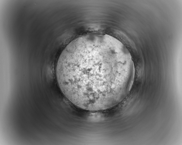X0000096950376200802221327