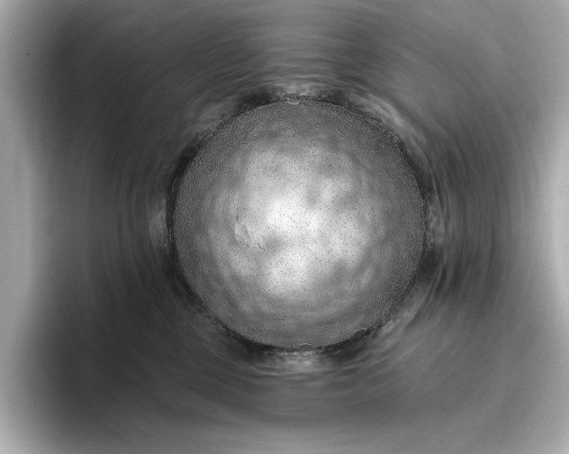 X0000096950377200802221327