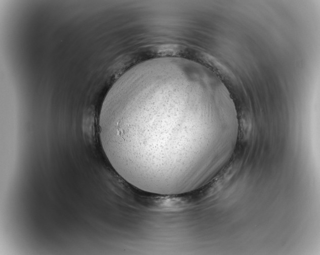 X0000096950379200802221327
