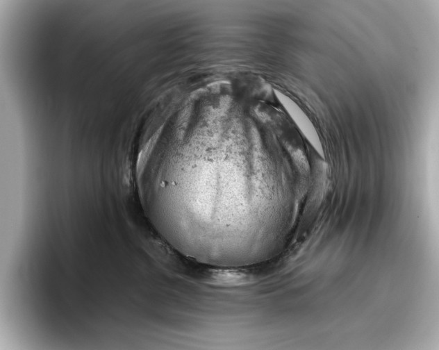 X0000096950380200802221327