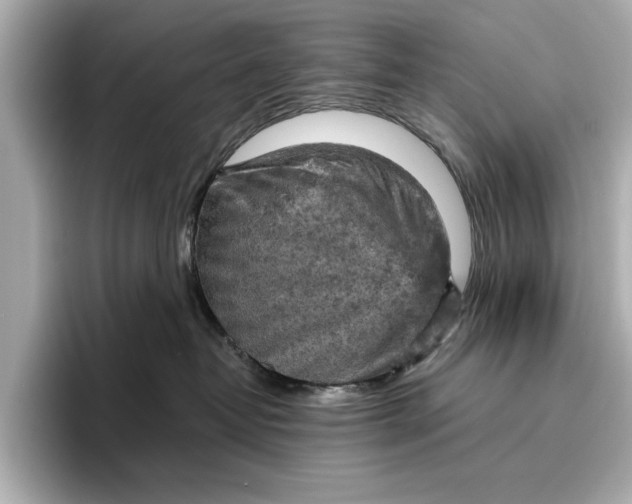 X0000096950382200802221327