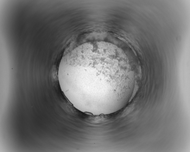X0000096950384200802221327