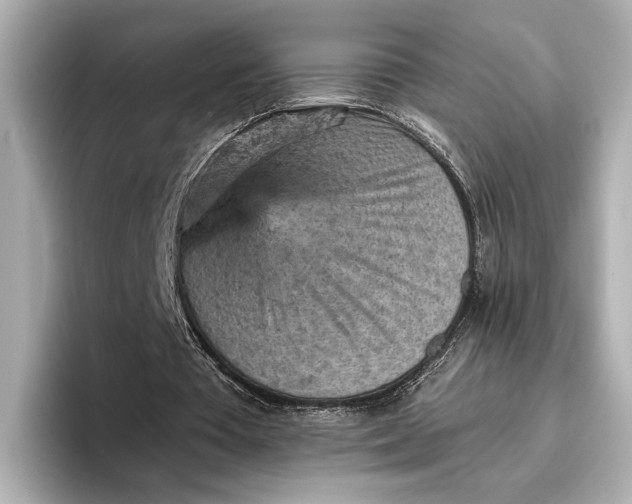 X0000096950385200802221326