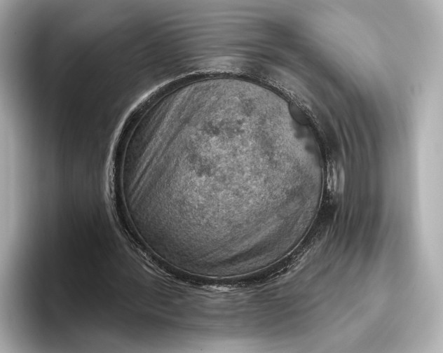 X0000096950388200802221326
