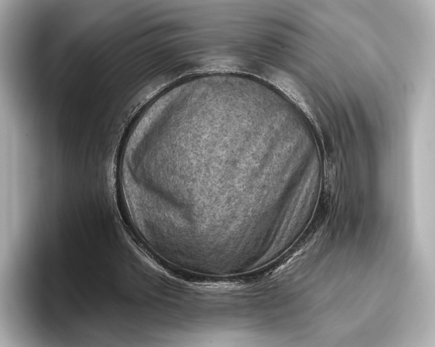 X0000096950389200802221326