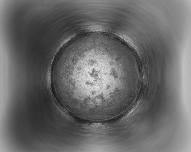 X0000096950390200802221326