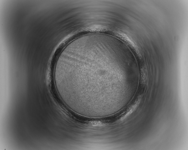 X0000096950392200802221326
