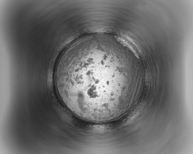 X0000096950394200802221326