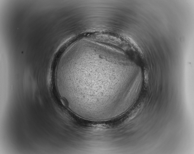 X0000096950396200802221326