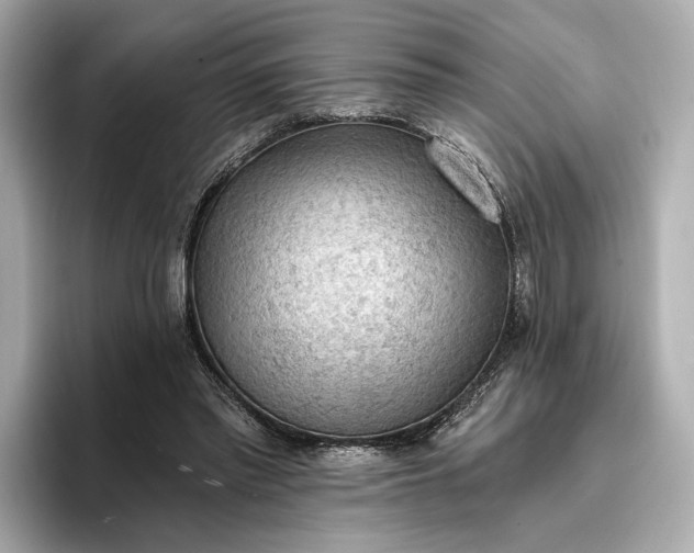 X0000096950397200802221326