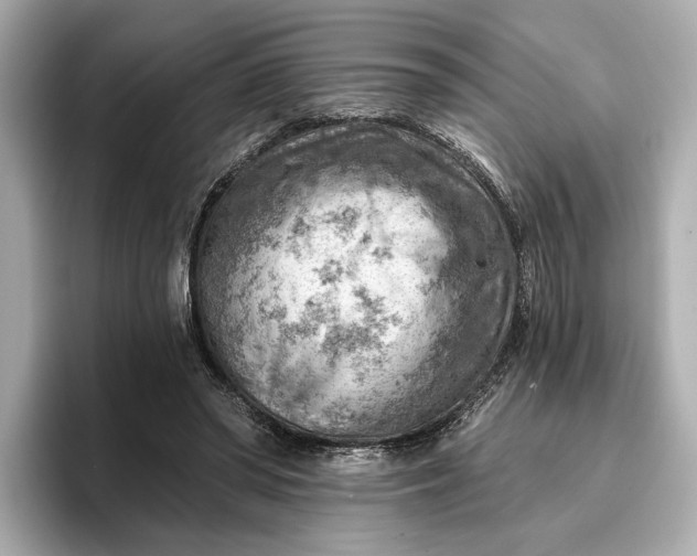X0000096950398200802221326