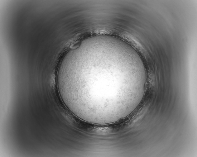 X0000096950401200802221326