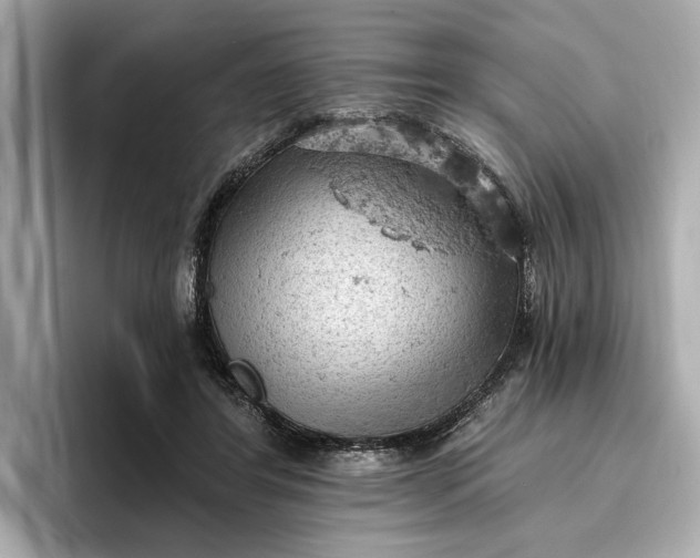 X0000096950404200802221326