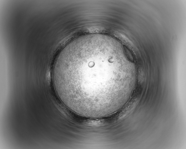 X0000096950405200802221326