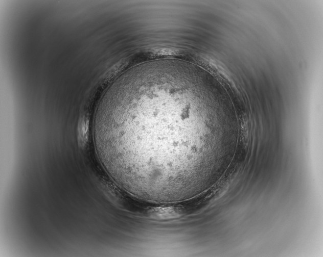 X0000096950406200802221326