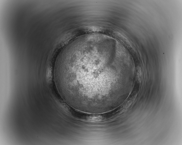 X0000096950410200802221326