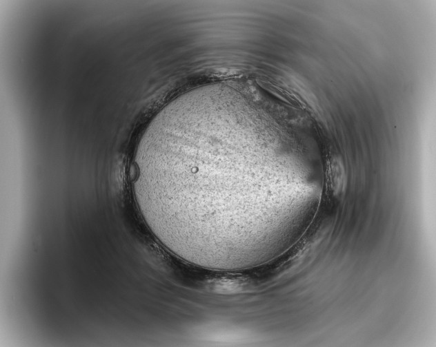 X0000096950412200802221326
