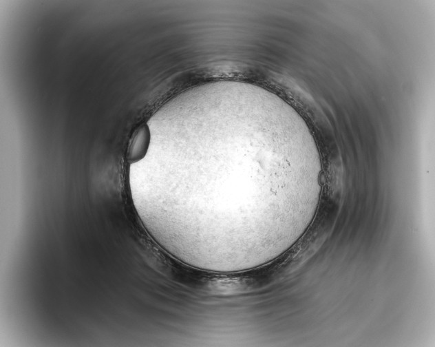 X0000096950413200802221326